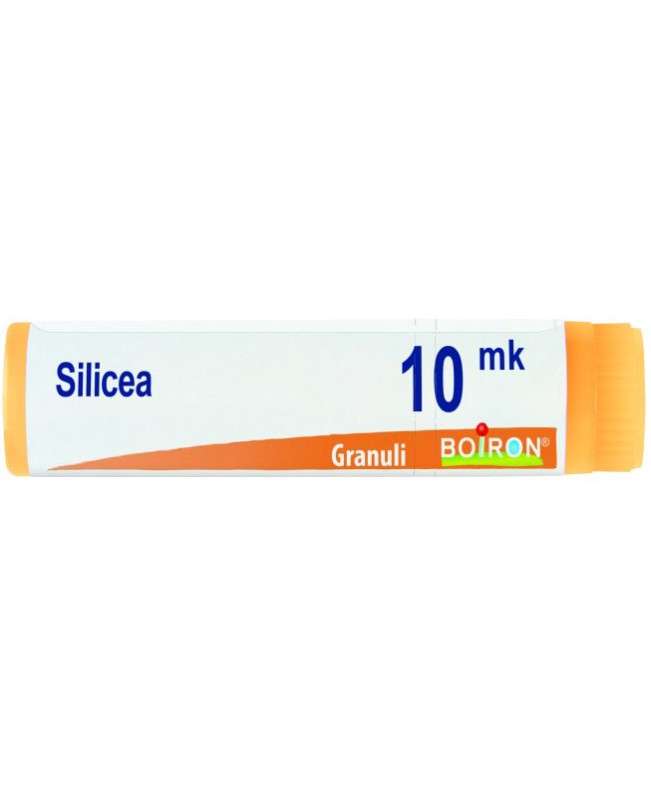 SILICEA*GLOB XMK SILICEA*GLOB XMK
