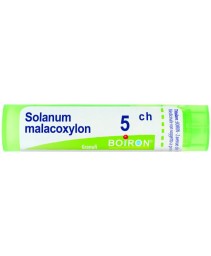 SOLANUM MALACOXYLON*GRAN 5CH