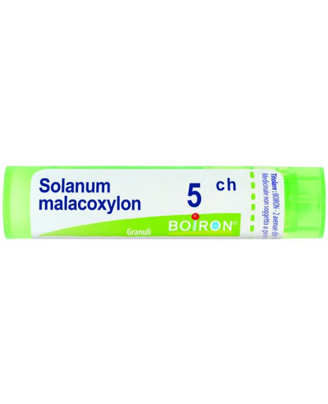 SOLANUM MALACOXYLON*GRAN 5CH SOLANUM MALACOXYLON*GRAN 5CH