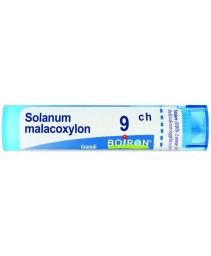 SOLANUM MALACOXYLON*GRAN 9CH
