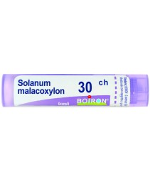 SOLANUM MALACOXYLON*GRAN 30CH