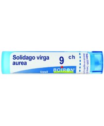 SOLIDAGO VIRGA AUREA*GRAN 9CH