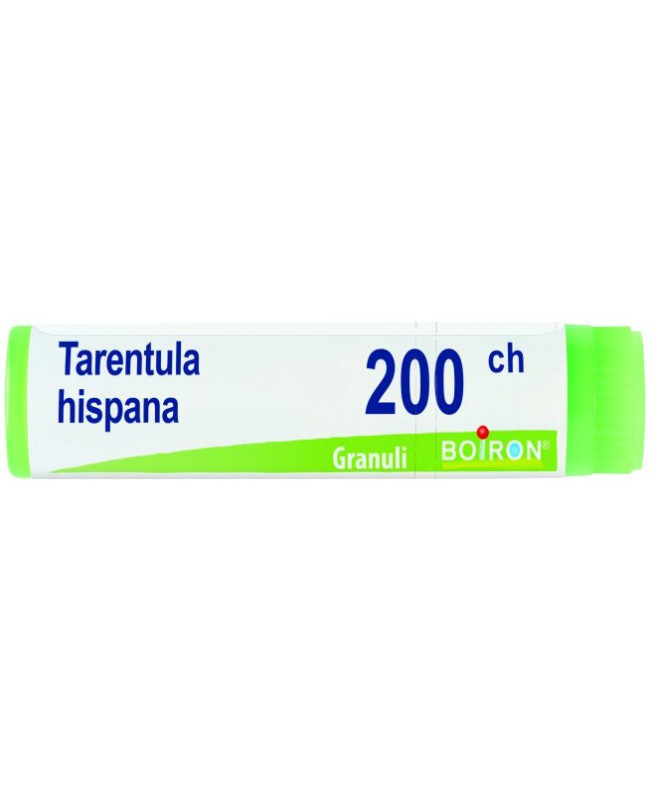 TARENTULA HISPANA*GLOB 200CH TARENTULA HISPANA*GLOB 200CH