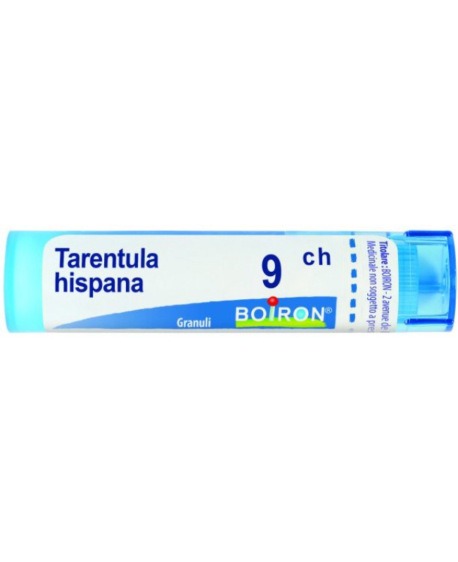 TARENTULA HISPANA*GRAN 9CH TARENTULA HISPANA*GRAN 9CH