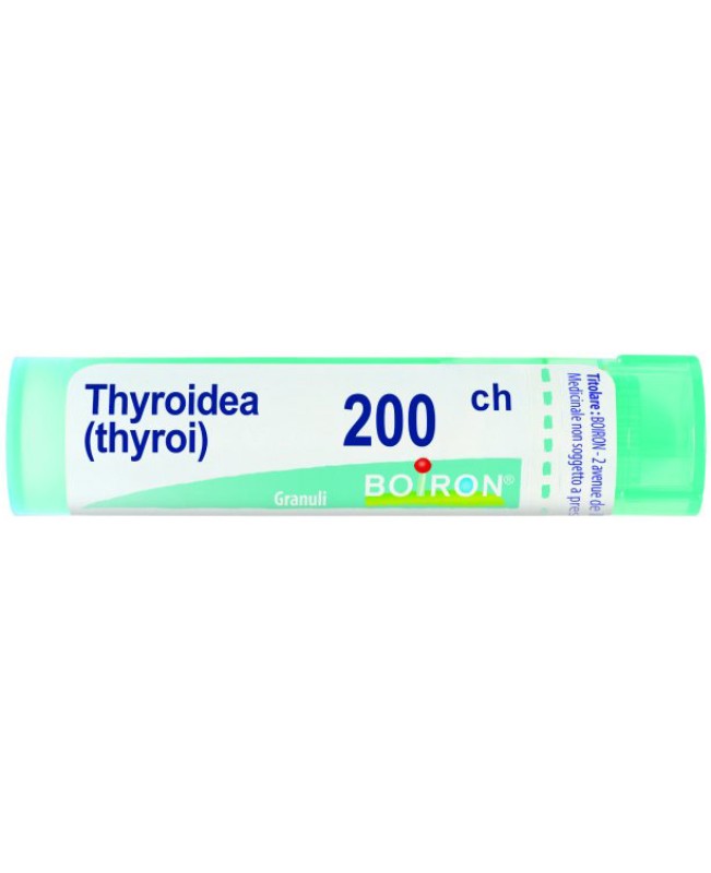 THYROIDINUM*GRAN 200CH THYROIDINUM*GRAN 200CH