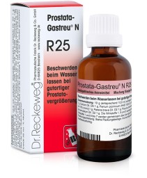 RECKEWEG*R25 GTT 22ML