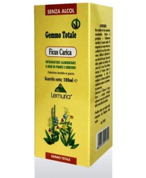 FICUS CARICA 100ML