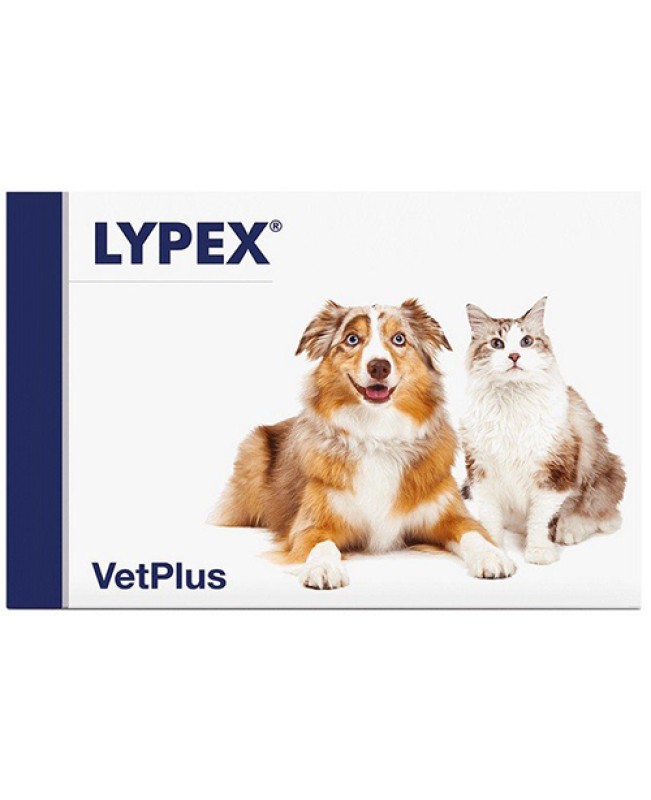 LYPEX 60CPS LYPEX 60CPS