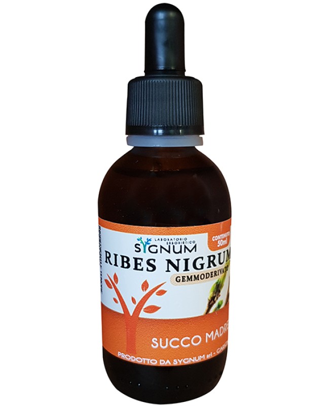 RIBES NIGRUM SUCCO MADRE 50ML
