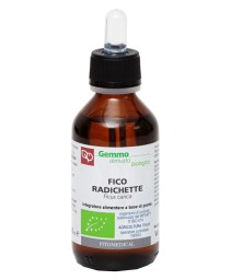 FICO RADICHETTE GD BIO 100ML