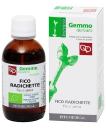 FICO RADICHETTE MG 50ML BIO FICO RADICHETTE MG 50ML BIO