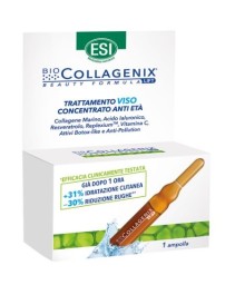 BIOCOLLAGENIX AMPOLLA SING