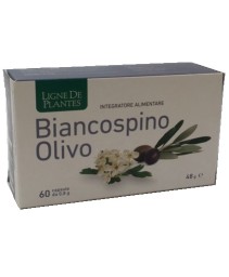 BIANCOSPINO OLIVO 60CPS BIANCOSPINO OLIVO 60CPS