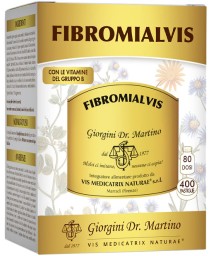 FIBROMIALVIS 400PAST