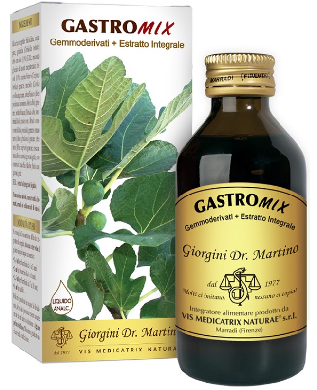 GASTROMIX LIQUIDO ANALC 200ML GASTROMIX LIQUIDO ANALC 200ML