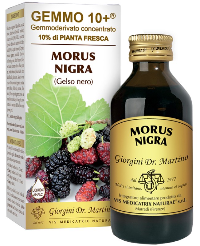 MORUS N(GELSO NER)GEMMO 10+ 100M AN MORUS N(GELSO NER)GEMMO 10+ 100M AN