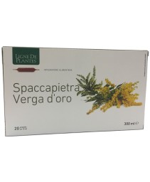 LIGNE SPACCAPIETRA VERGA 20AMP