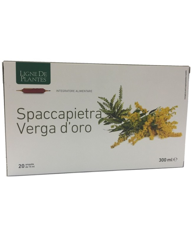 LIGNE SPACCAPIETRA VERGA 20AMP LIGNE SPACCAPIETRA VERGA 20AMP
