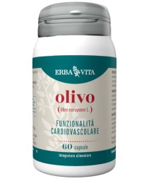 OLIVO 60CPS