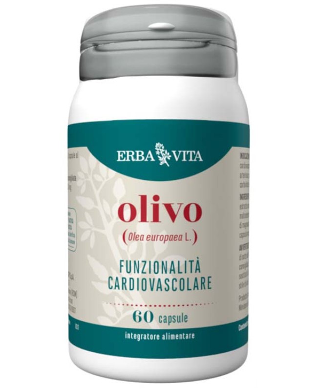 OLIVO 60CPS