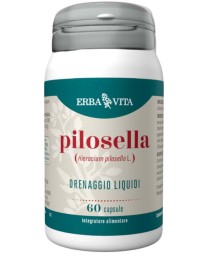 PILOSELLA 60CPS NF