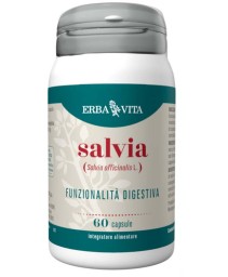 SALVIA 60CPS