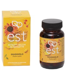 GIUGGIOLO ES 60TAV EST