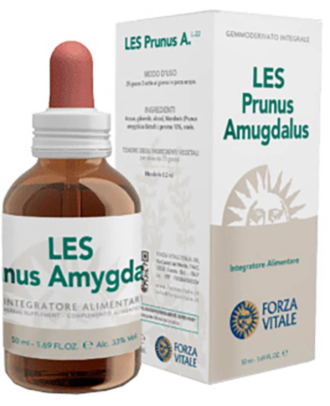 PRUNUS AMYGDALUS LES 50ML PRUNUS AMYGDALUS LES 50ML