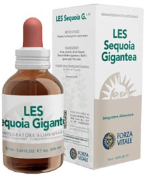 SEQUOIA GIGANTEA LES 50ML
