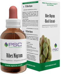 PSC RIBES NIGRUM 15ML