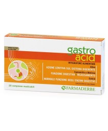 GASTRO ACID 20CPR MASTIC