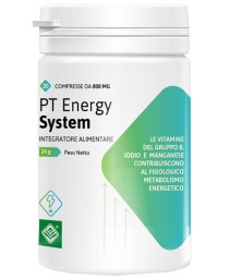 PT ENERGY SYSTEM 30CPR