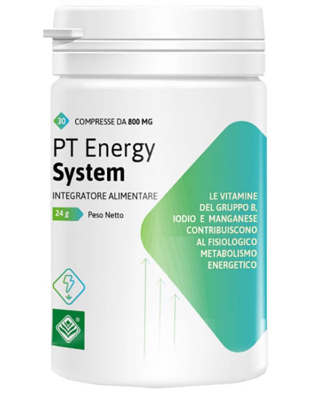 PT ENERGY SYSTEM 30CPR PT ENERGY SYSTEM 30CPR