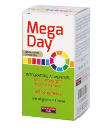 MEGA DAY VITAL FACTORS 30 TAV