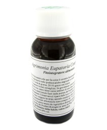 VILLA STODDARD 01N 60ML AGRIMON EUP