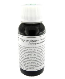 VILLA STODDARD 08N 60ML HARPAGOP PR