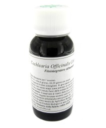 VILLA STODDARD 11N 60ML COCHLEAR OF