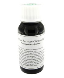 VILLA STODDARD 32N 60ML ALLIUM SATI