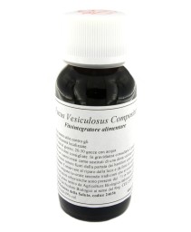 VILLA STODDARD 42S 60ML FUCUS VESIC