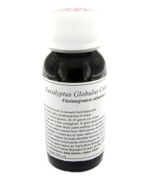 VILLA STODDARD 56S 60ML EUCALYPT GL
