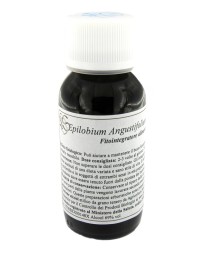 VILLA STODDARD 82C 60ML EPILOB ANGU