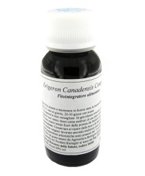 VILLA STODDARD 85C 60ML ERIGERON CA