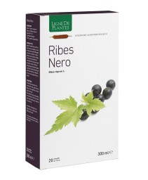 RIBES NERO BIO 20AMPOLLE 15ML