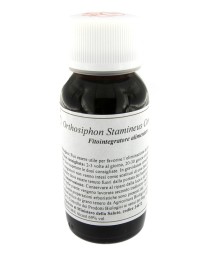 VILLA STODDARD 65S 60ML ORTHOSIPHON