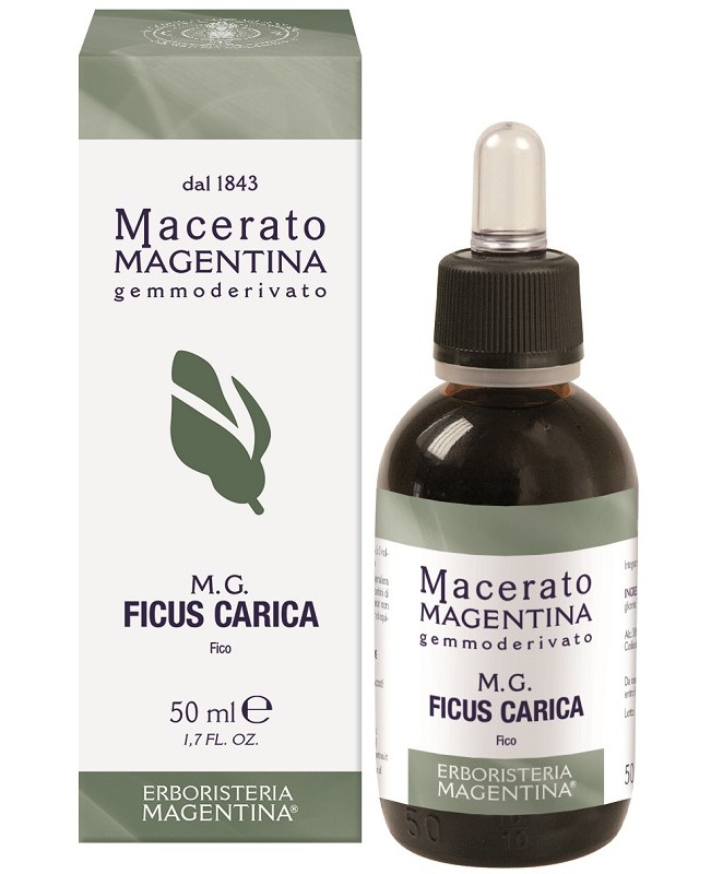 FICUS CARICA MACERATO MAGE50ML