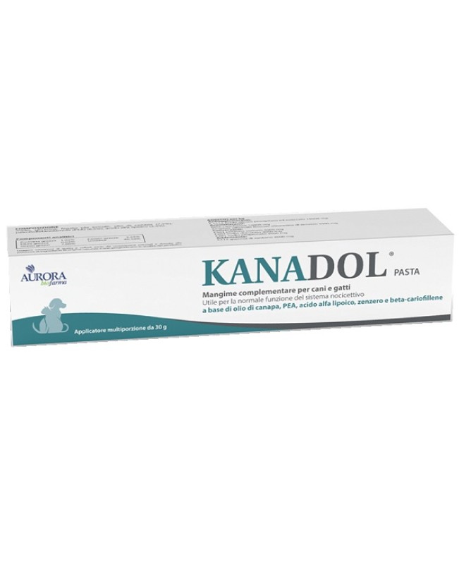 KANADOL PASTA 30G KANADOL PASTA 30G