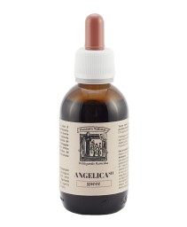 ANGELICA SH THESAURA NATURAE G