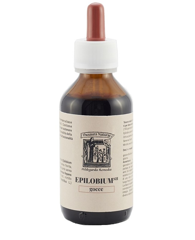 EPILOBIUM SH THE SAURA NATURAE