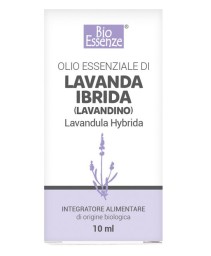 LAVANDA IBRIDA OE BIO 10ML ACE