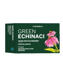 GREEN ECHINACI 36CPS